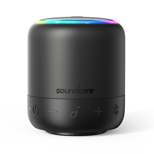 mini 3 Pro